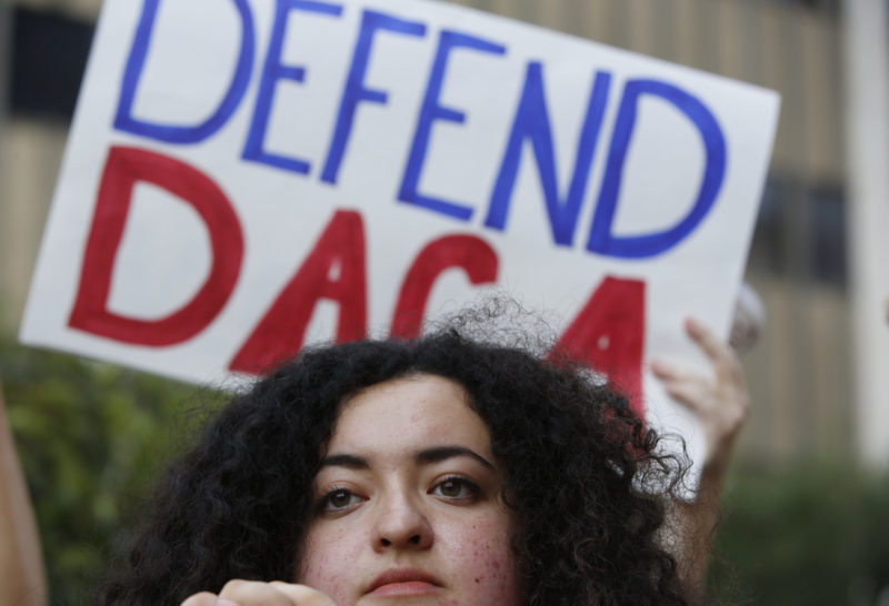 DACA NEA reponse