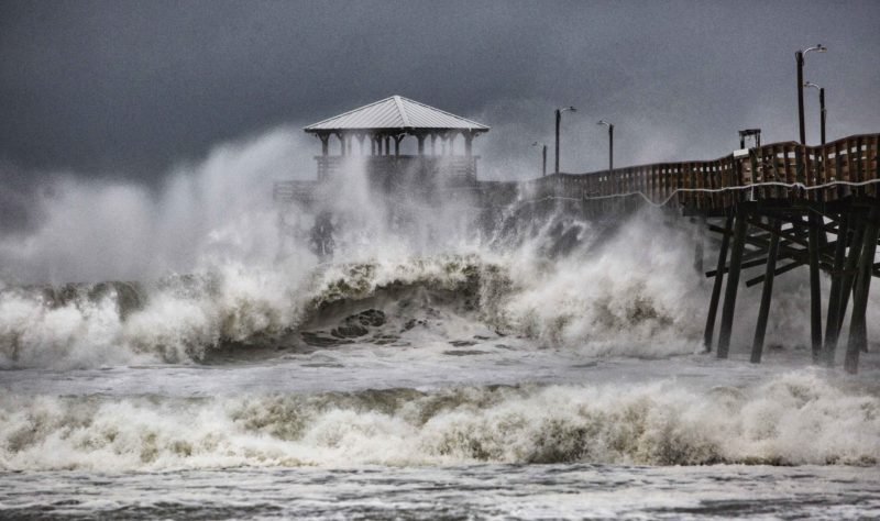 nea hurricane florence relief fund