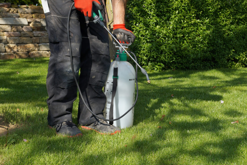 weed killer use in schools