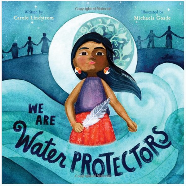 Book cover showing Native American girl on blue background. Title is "We Are Water Protectors."
