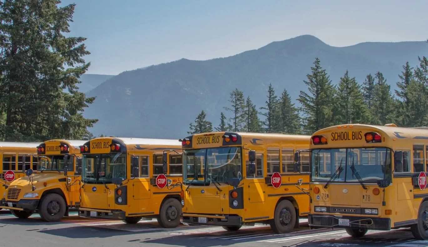 School buses seen in front of mountain and forest landscape