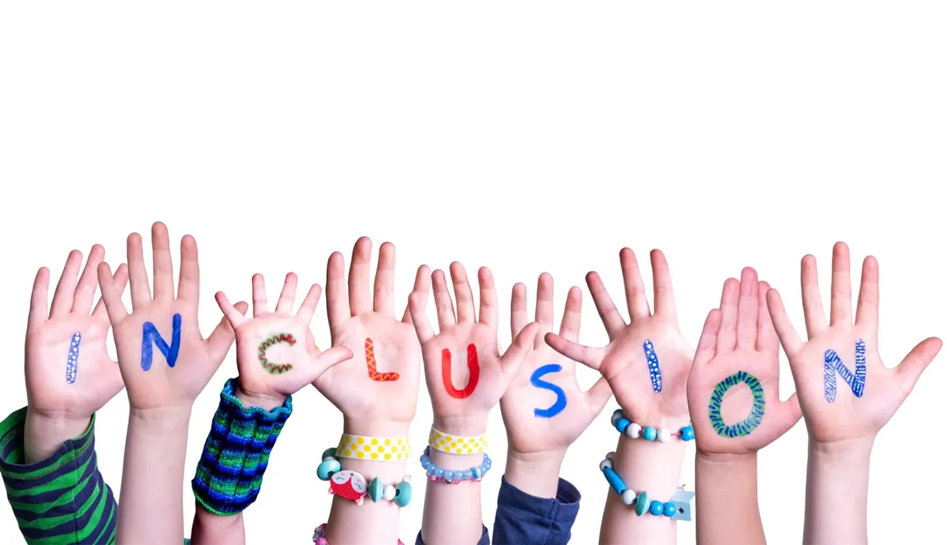 inclusion