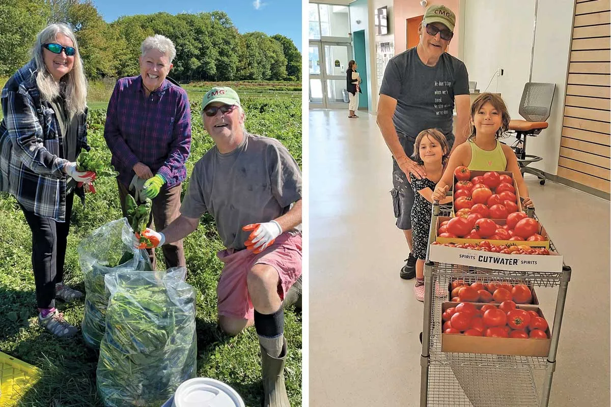 Steve Knight and fellow volunteers gleaned 25 pounds of cabbage and 100 pounds of peppers from a seed company in Winslow, Maine. Knight’s granddaughters help him deliver over 300 pounds of tomatoes to a community center in Waterville, Maine.