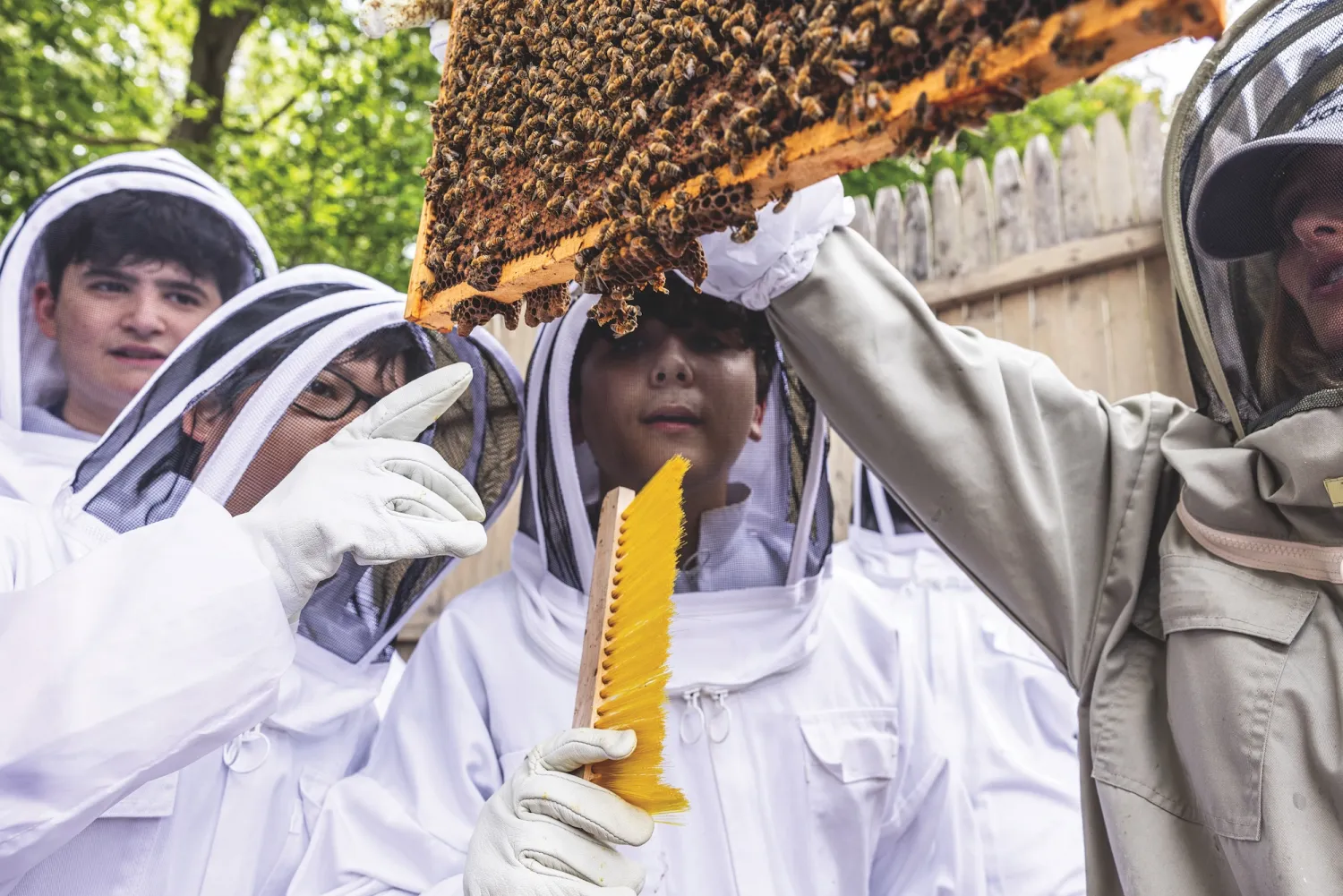 LIndstrom and students checking the hive's frames