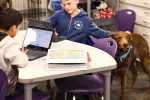 Chocolate Lab Hotch, the canine "co-teacher" being petted by a male student.