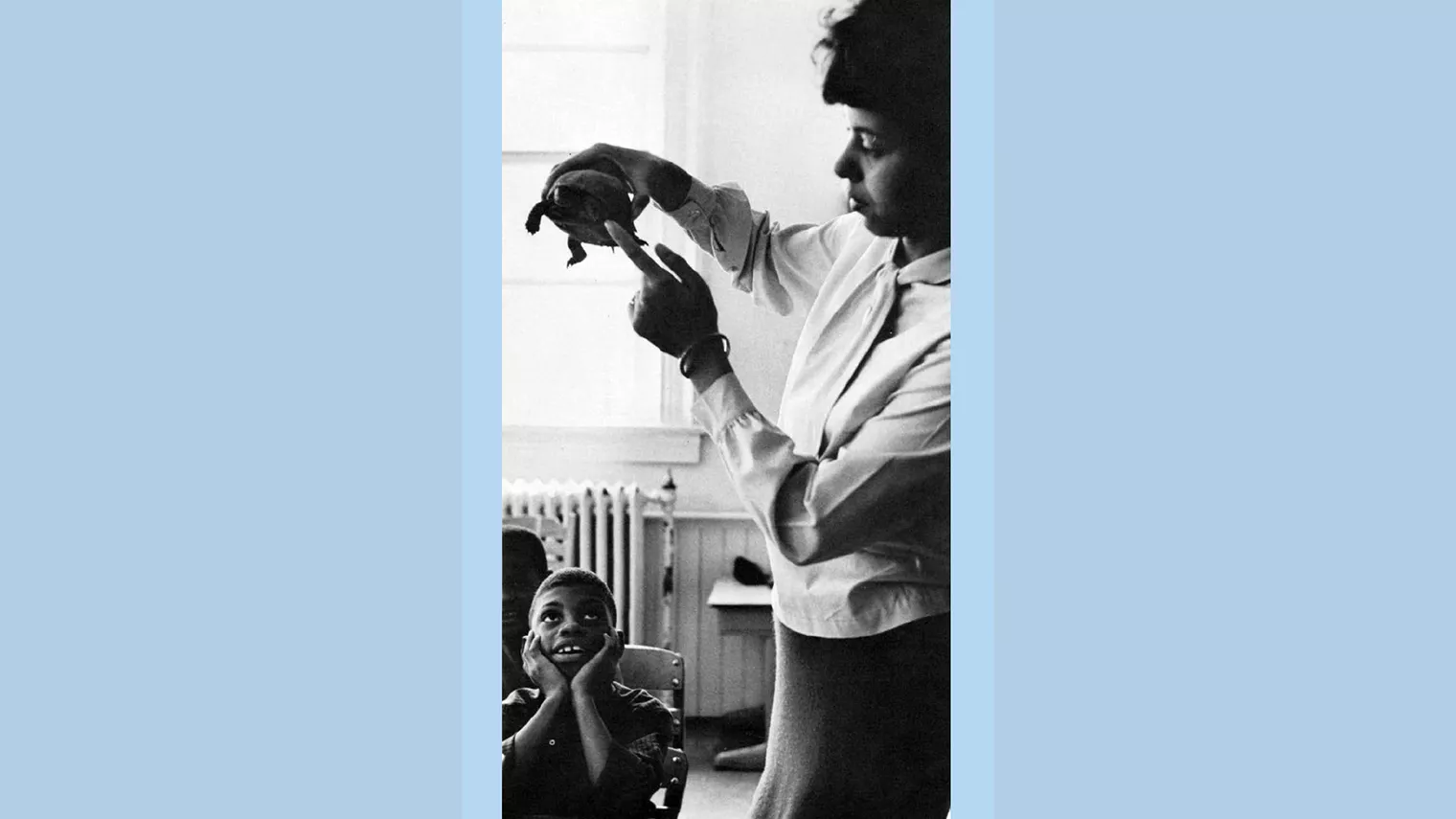 teacher shows students a turtle in 1960s classroom