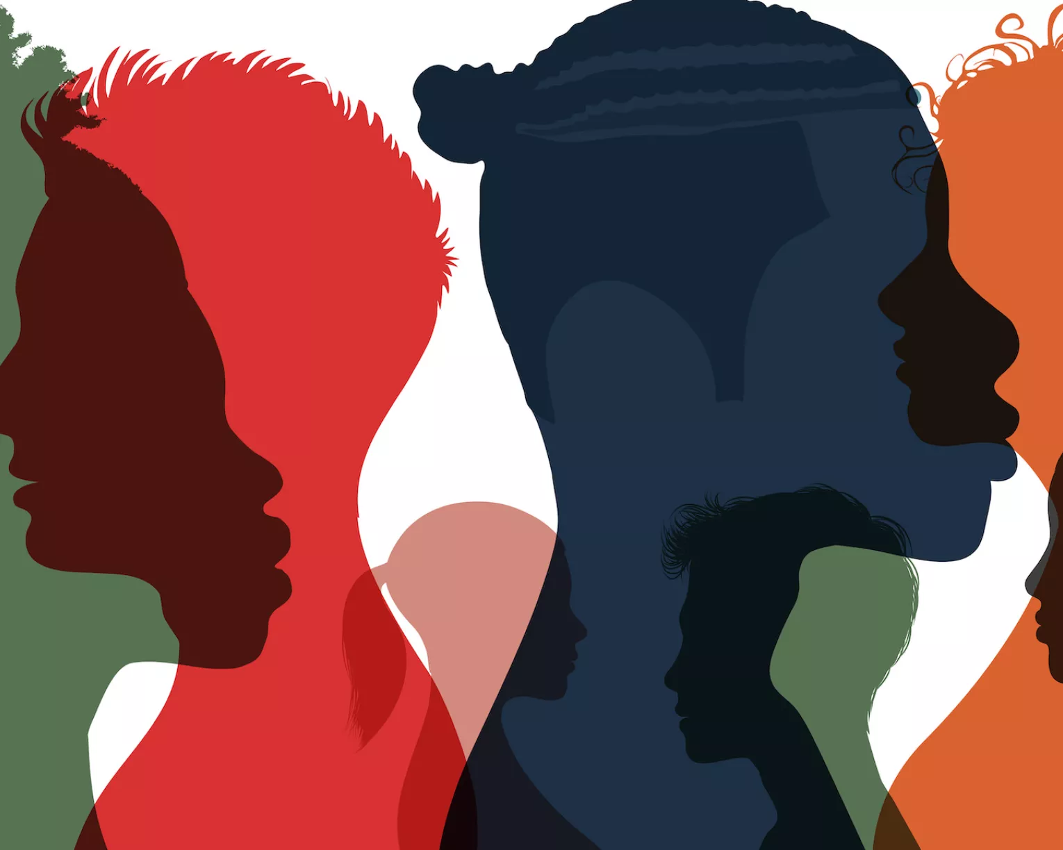 student diversity
