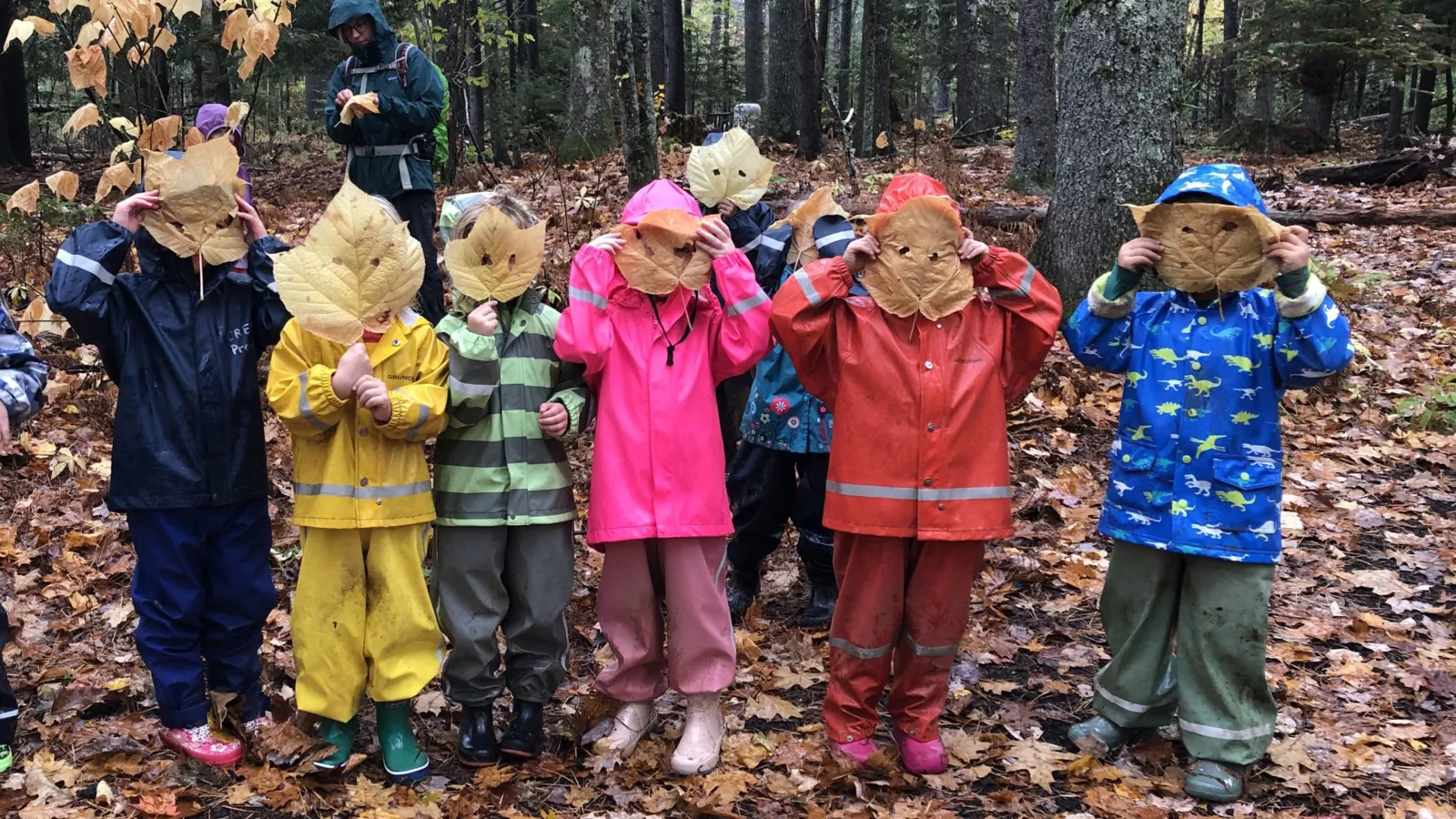 Photo of Maine pre-K students holding leafs to their faces