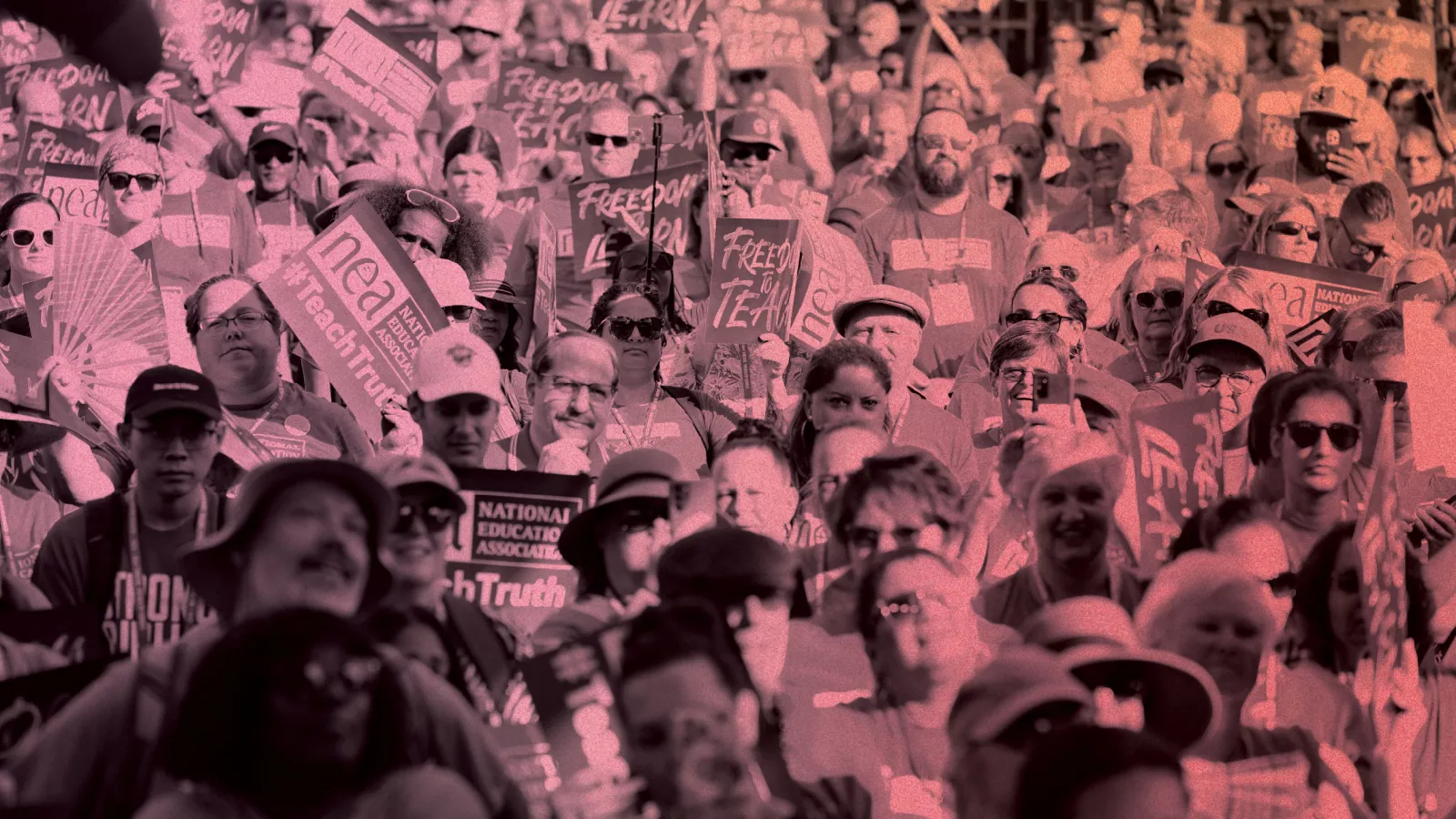 Crowd at rally
