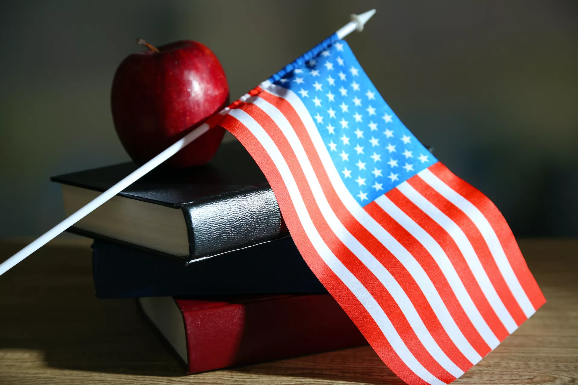 educators who ran for office in 2020