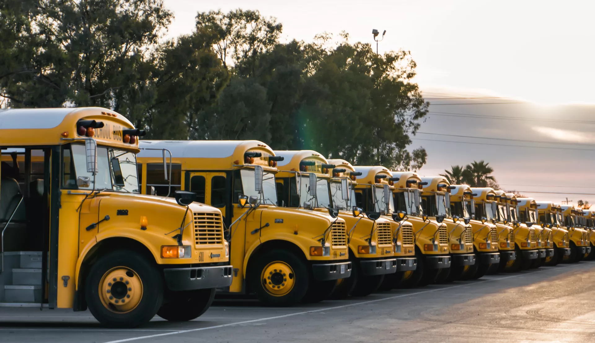 school buses