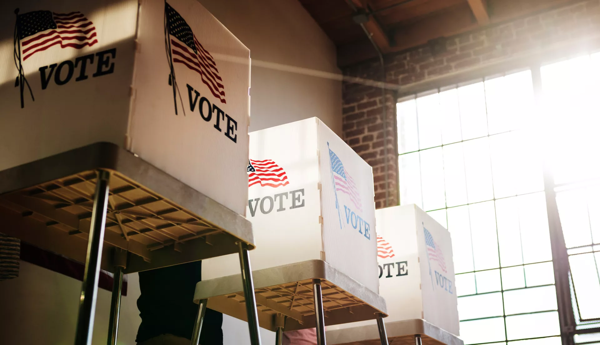 nea voter survey