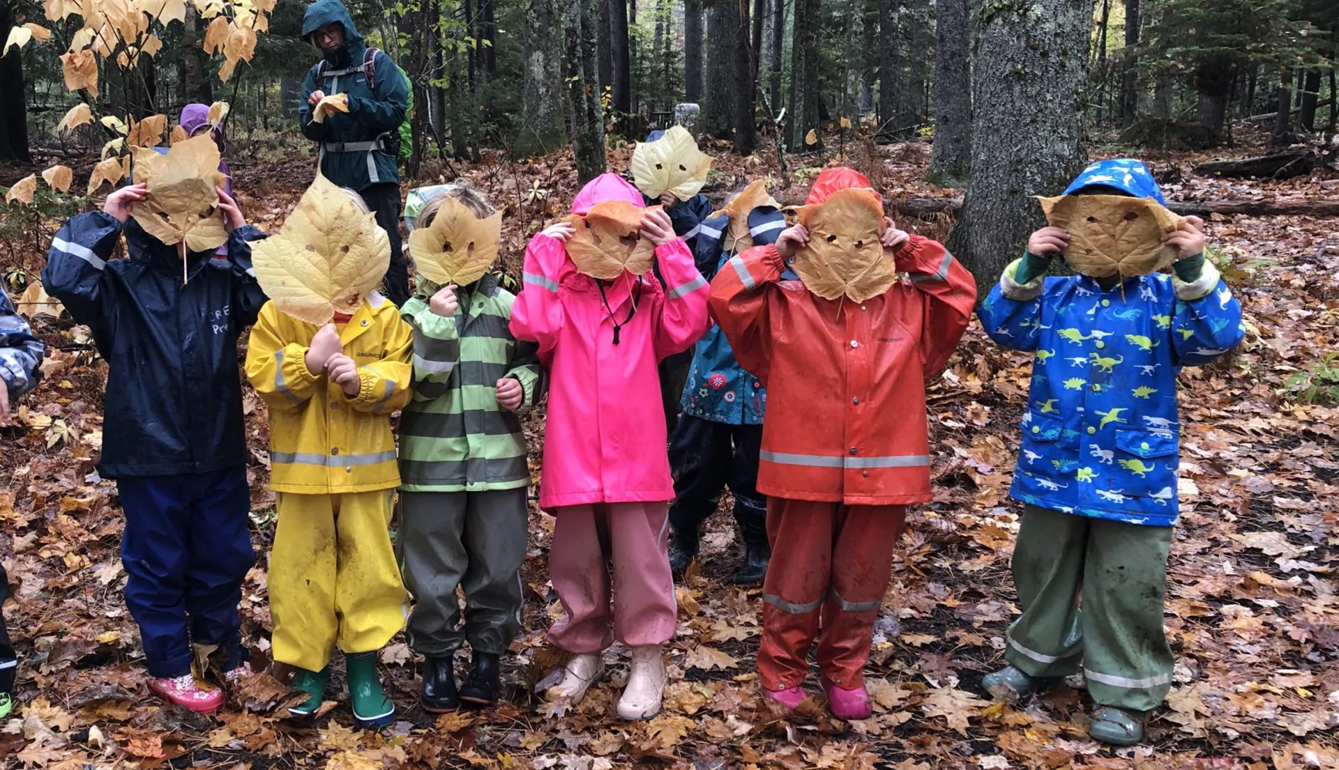 Photo of Maine pre-K students holding leafs to their faces