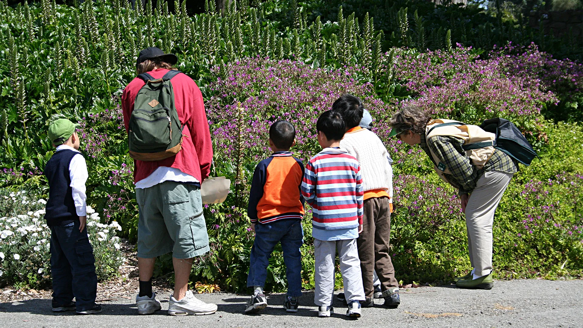 Young schoolchildren visit a garden with two parent chaperones
