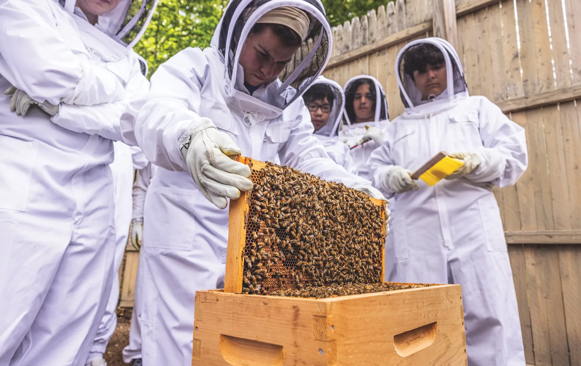 Students in white bee suits, holding bee-covered frame