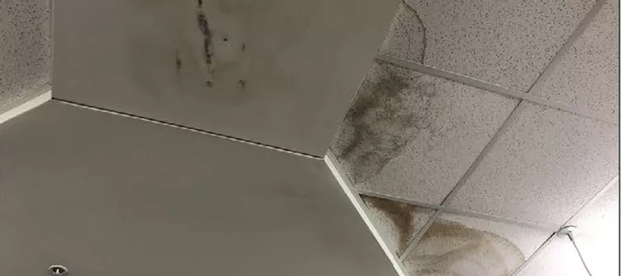 ceiling with water damage
