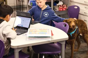 Chocolate Lab Hotch, the canine "co-teacher" being petted by a male student.