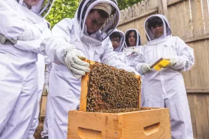 Students in white bee suits, holding bee-covered frame