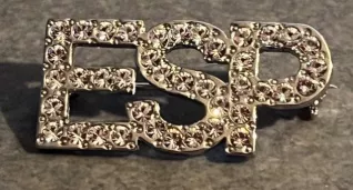 Silver ESP pin