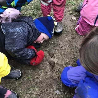 Photo of students examining footprints