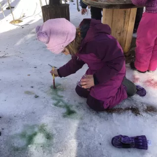Photo of preschooler painting on snow