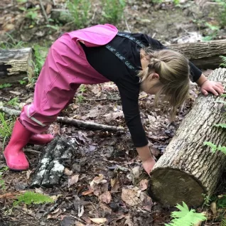 Photo of preschooler looking under log