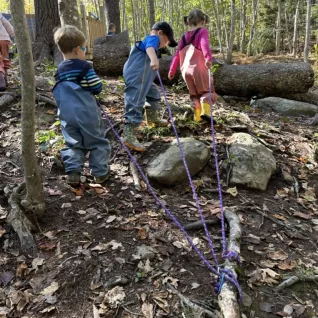 Photo of pulleys in woods