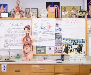 A classroom workspace covered in large paper capturing science concepts and a mannequin of a internal anatomy of a human torso.