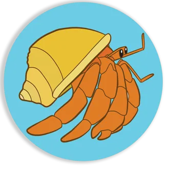 Hermit Crab