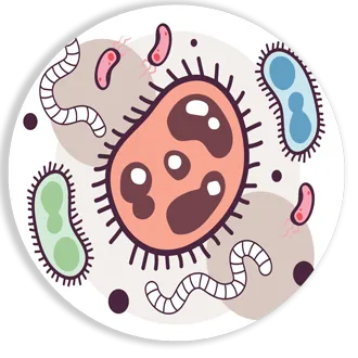organisms