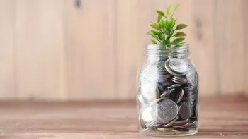 A plant growing out of a jar of coins