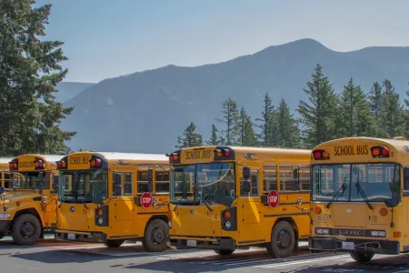 School buses seen in front of mountain and forest landscape