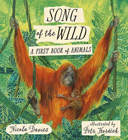 Song of the Wild cover