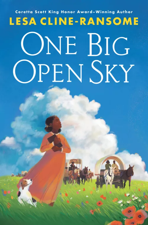 One big open sky book cover
