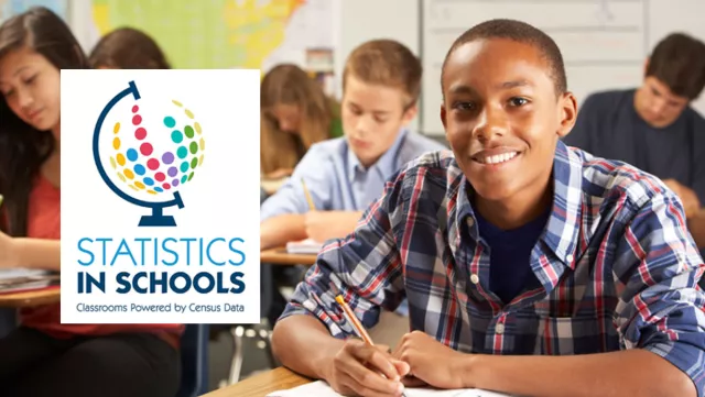 Statistics in Schools