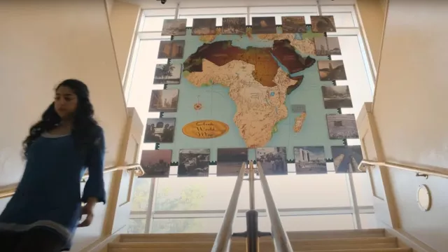 The Arab American National Museum