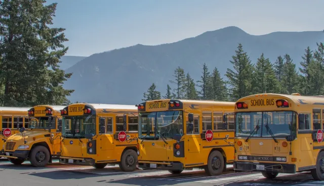 School buses seen in front of mountain and forest landscape