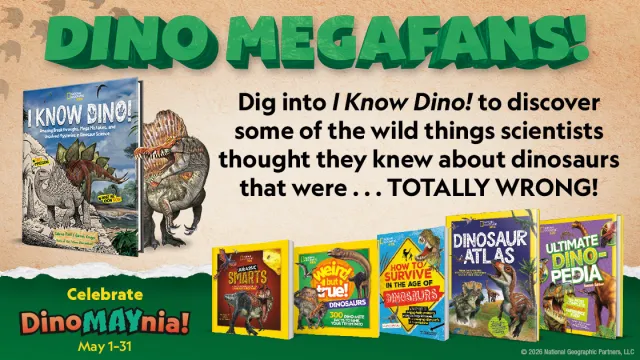DinoMAYnia ad