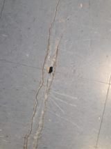 A classroom floor with a hole