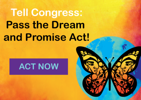 Pass the Dream and Promise Act graphic