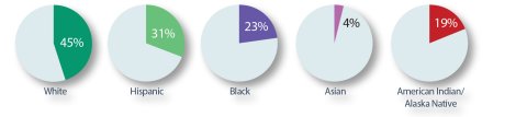 Racial Pie Chart - White 45%, Hispanic 31%, Black 23%, Asian 4%, American Indian/Alaska Native 19%