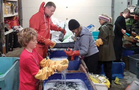 Teaching artist Bonnie Dillard facilitates the collecting, processing, washing, and building process with students, teachers, and community members in Kodiak, Alaska.